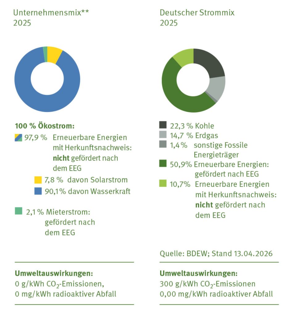 nvo Stromkennzeichnung Mix2 1